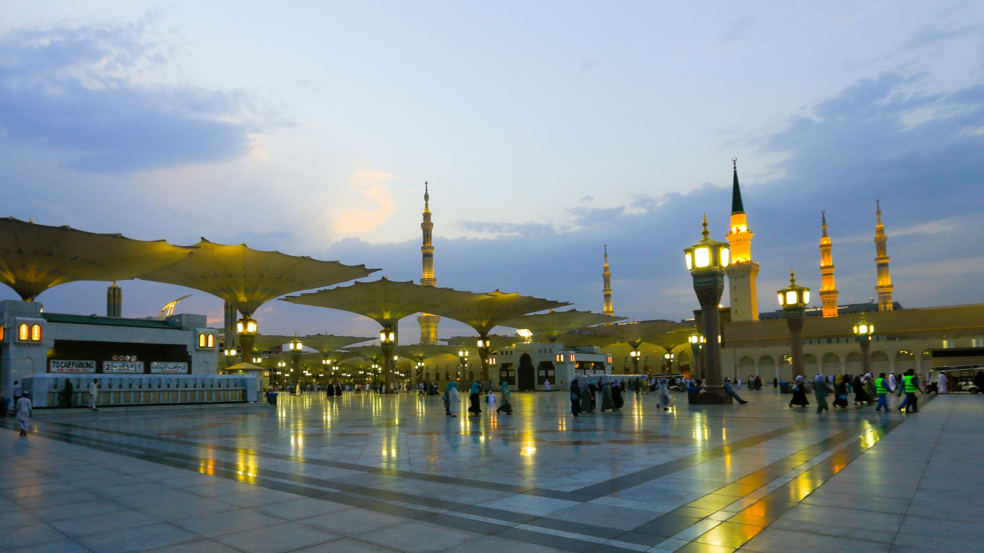 Personalized Packages for Every Need